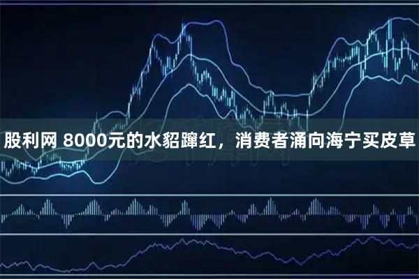 股利网 8000元的水貂蹿红，消费者涌向海宁买皮草
