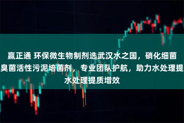 赢正通 环保微生物制剂选武汉水之国,硝化细菌脱硫除臭菌活性污泥培菌剂,专业团队护航,助力水处理提质增效